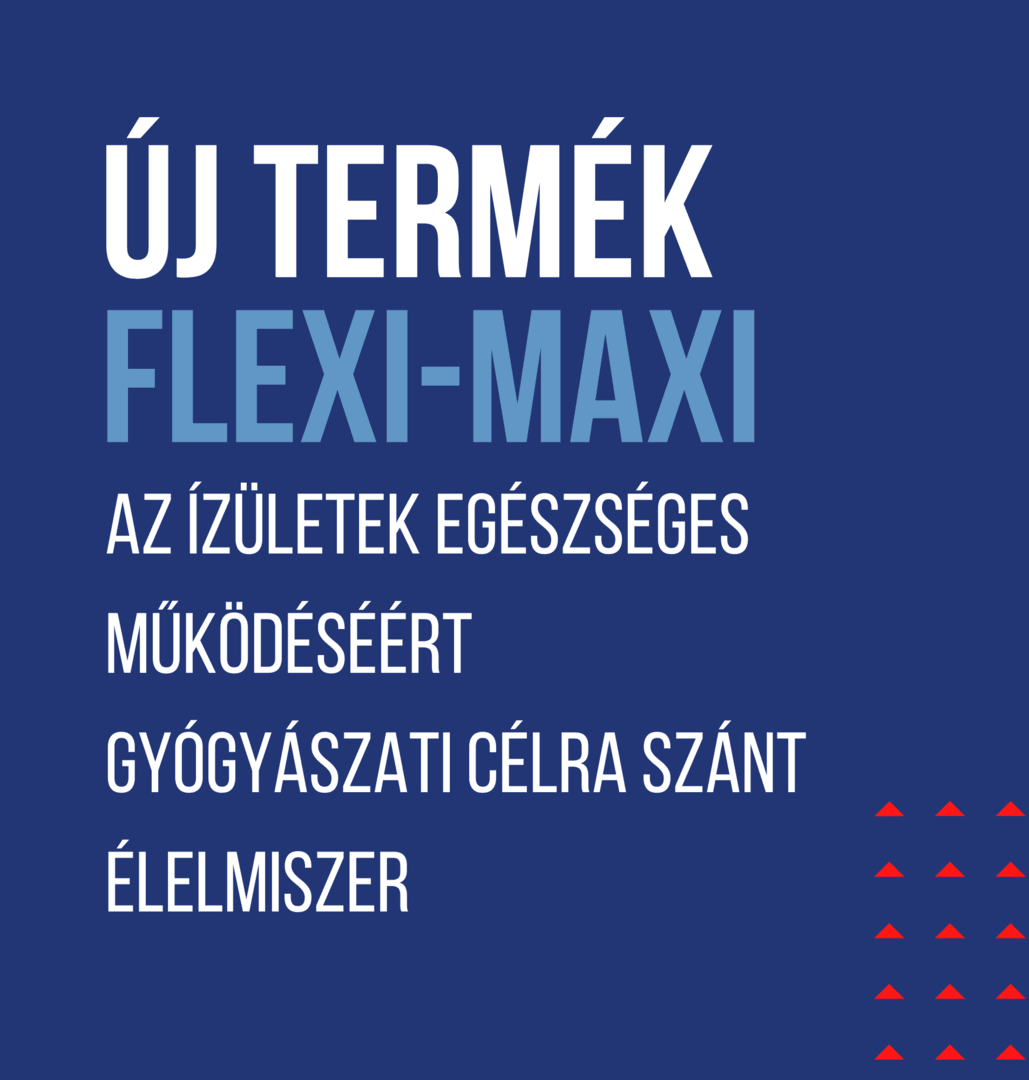 Flexi Maxi 10