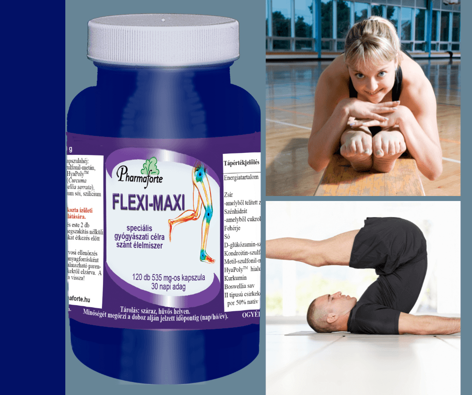 Flexi-Maxi glükozaminnal Flexi-Maxi-glükozaminnal